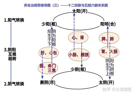 君火 相火|什么是君火？什么是相火？君火和相火啥关系？